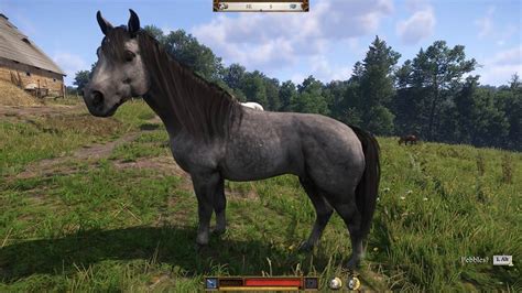 Do you keep pebbles or buy a better horse. : r/kingdomcome.